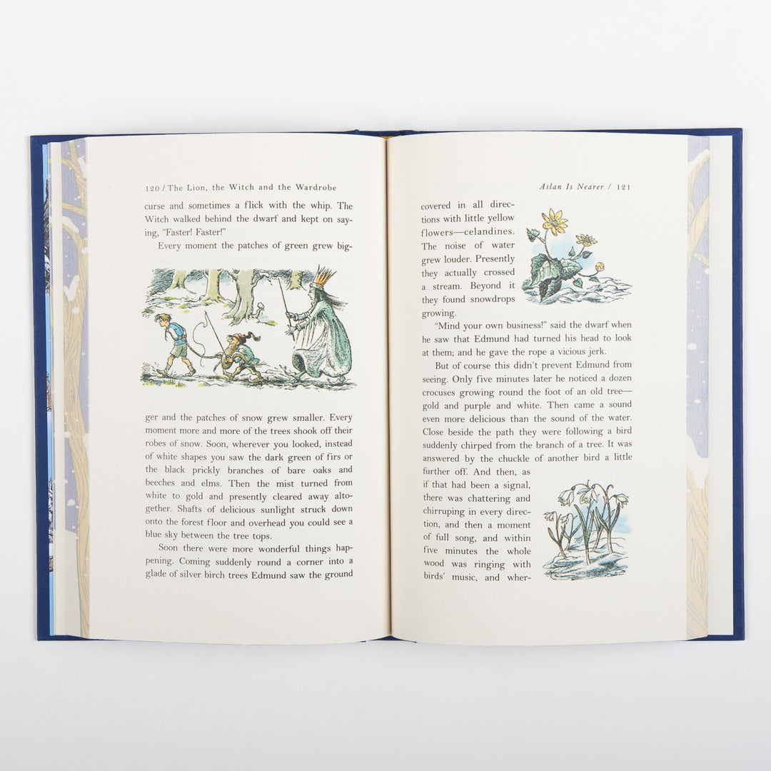 The Lion, the Witch and the Wardrobe Deluxe Collector&