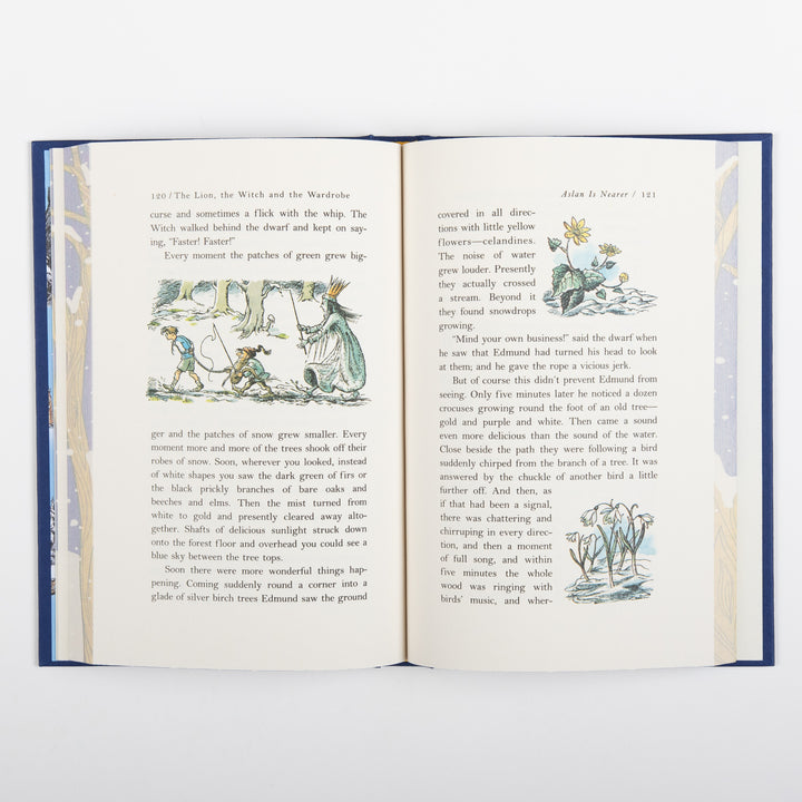 The Lion, the Witch and the Wardrobe Deluxe Collector&