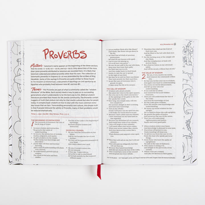 Interior spread opening the book of Proverbs, with a red hand-lettered "PROVERBS" title, "Author" and "Theme" introduction text, and the start of chapters 1 and 2; faint gray decorative line-art sketches trace the outer margins of both pages.