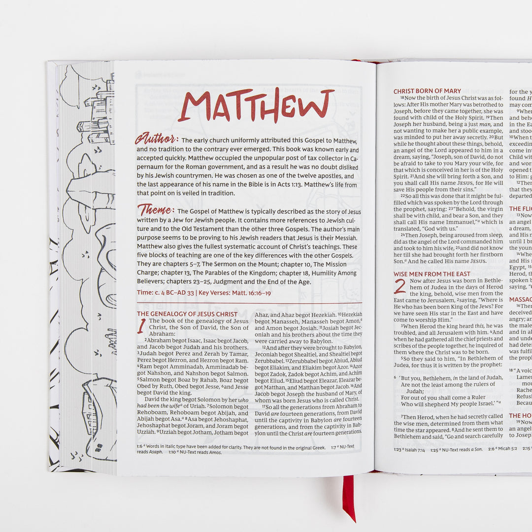 Interior spread opening the Gospel of Matthew, with a red hand-lettered "MATTHEW" title, "Author" and "Theme" introduction paragraphs, and the start of chapter 1&