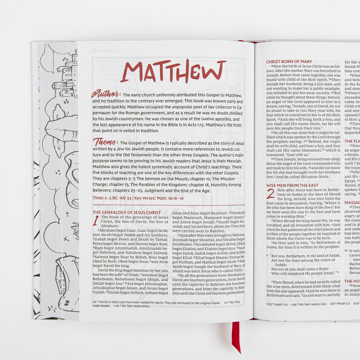 Interior spread opening the Gospel of Matthew, with a red hand-lettered "MATTHEW" title, "Author" and "Theme" introduction paragraphs, and the start of chapter 1&