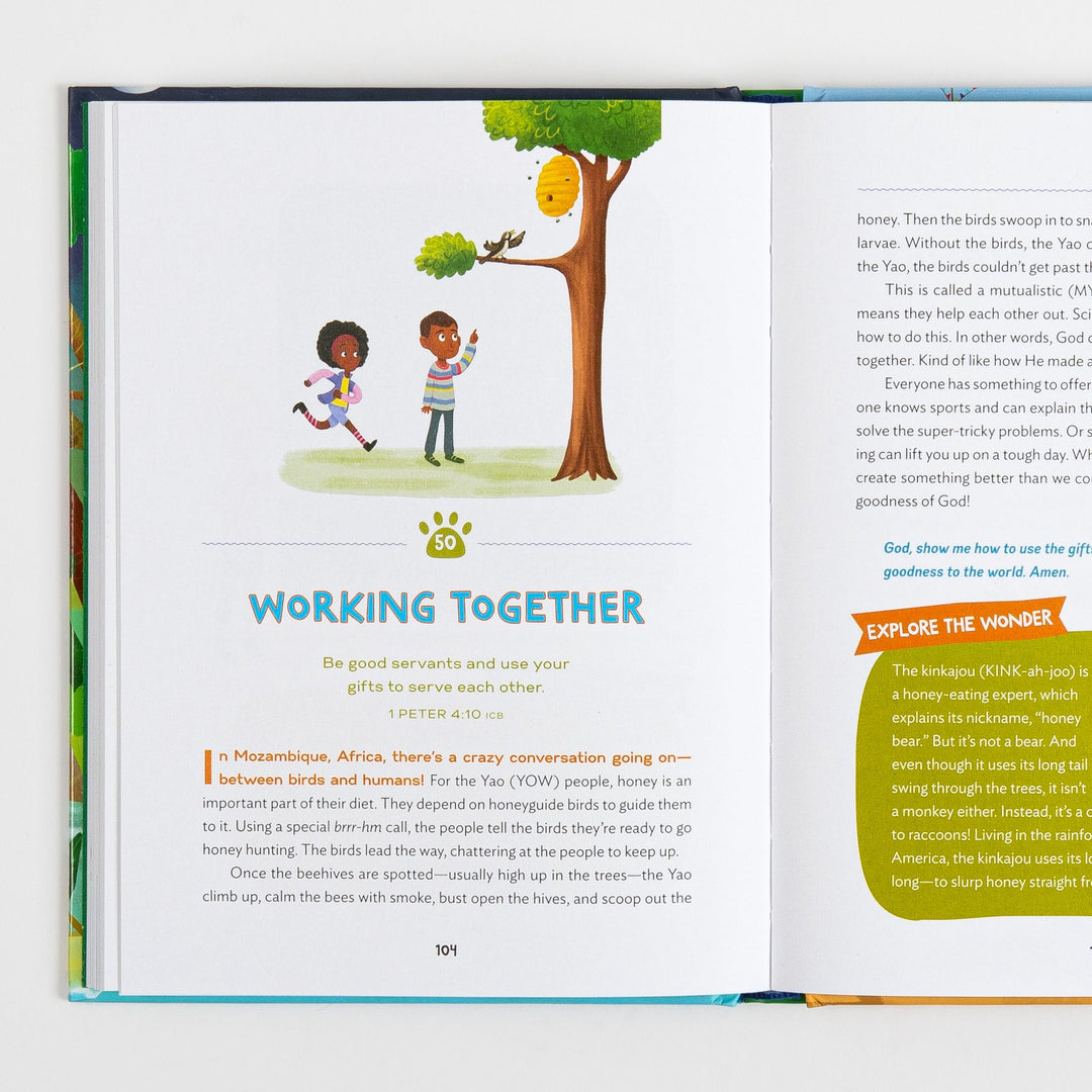 Open book spread from The Wonder of Creation, pages 104-105, showing the devotional "Working Together" with 1 Peter 4:10, an illustration of two children looking up at a beehive in a tree, text about honeyguide birds and the Yao people of Mozambique, and a green "Explore the Wonder" sidebar about the kinkajou.