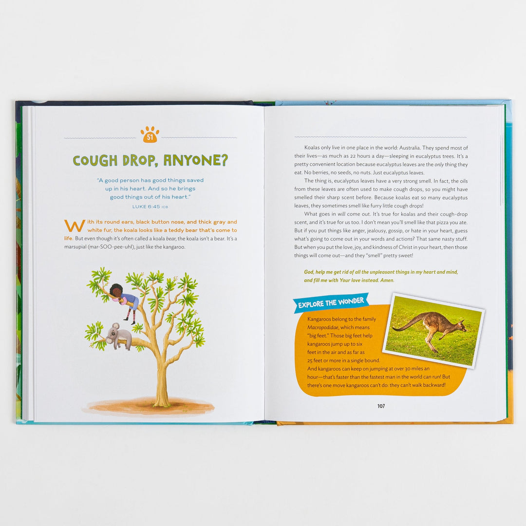 Interior spread from The Wonder of Creation devotional showing a page titled "Cough Drop, Anyone?" with a Luke 6:45 verse, text about koalas, a cartoon illustration of a girl looking at a koala in a tree, and an "Explore the Wonder" sidebar with a photo of a jumping kangaroo.