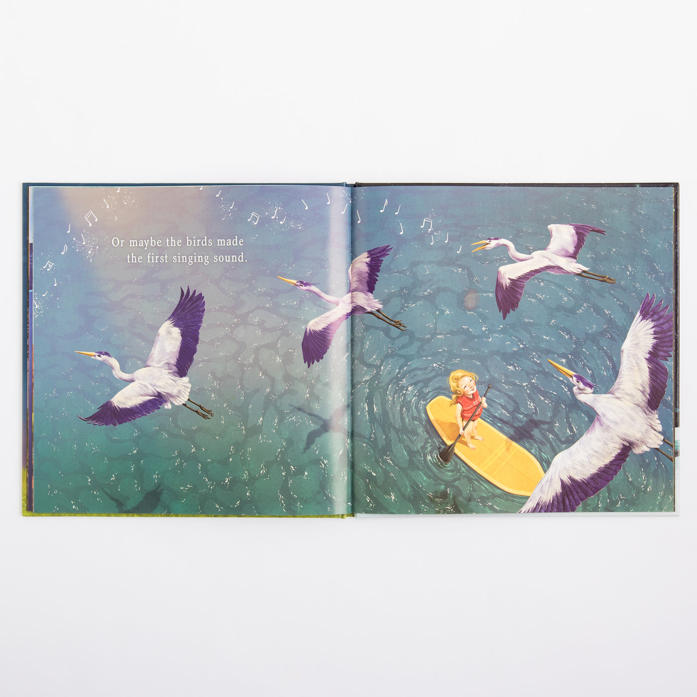 Illustrated book open to pages with birds and a child on a raft.