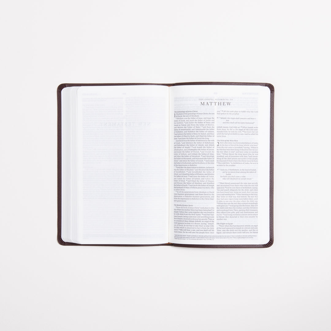 ESV Value Thinline Bible - Chestnut - TruTone - Filigree Design