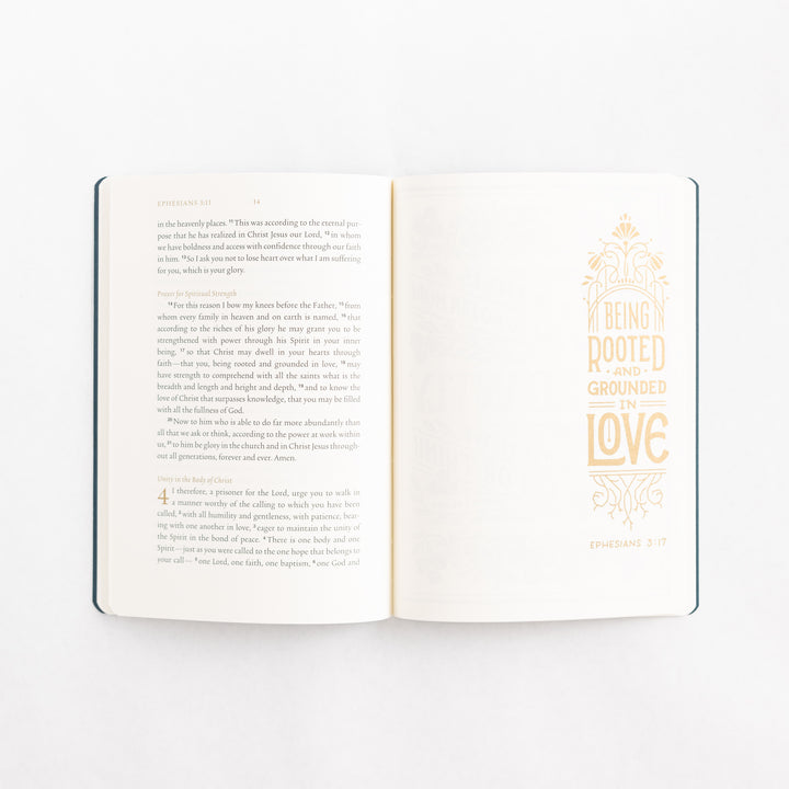 ESV Illuminated Scripture Journal: Ephesians