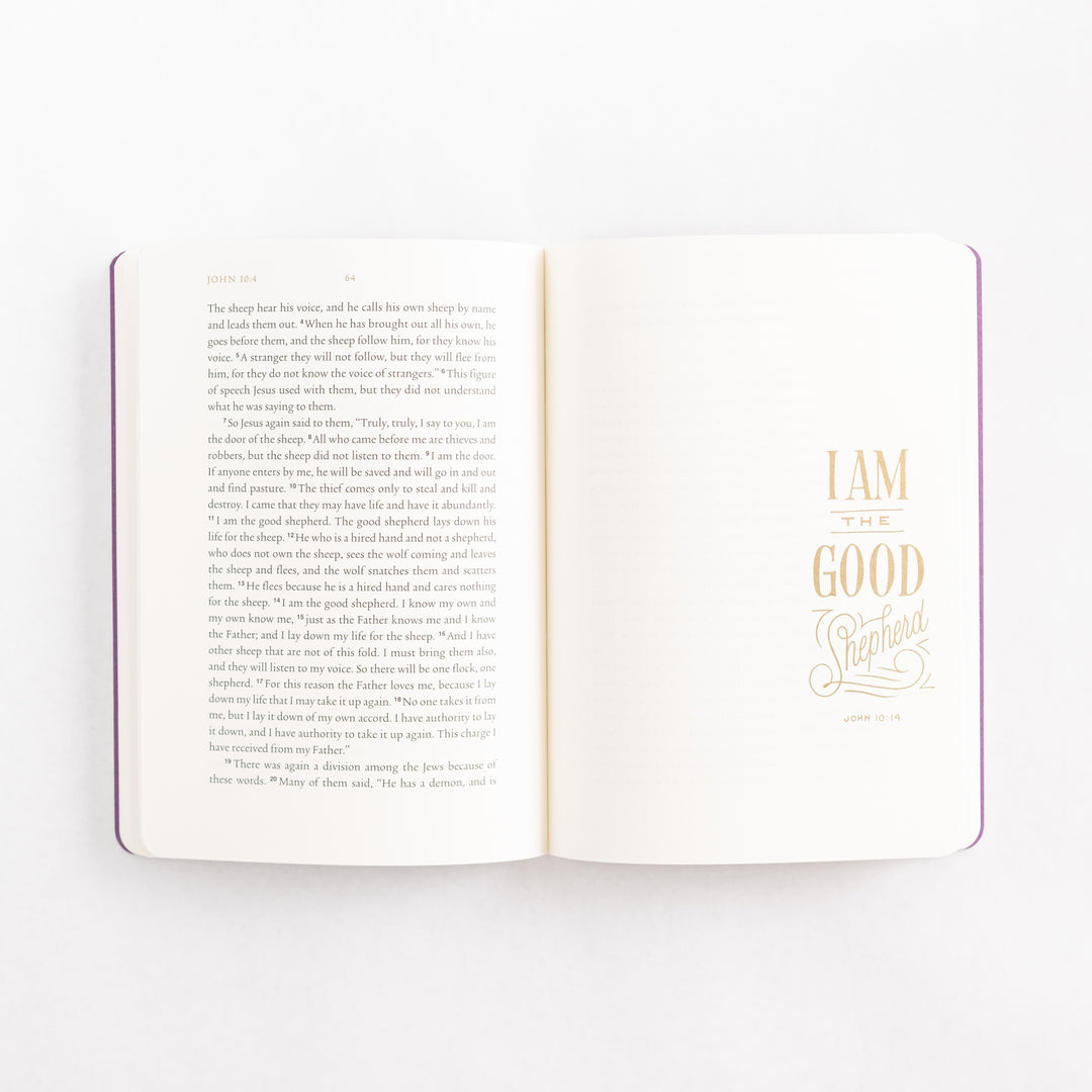 ESV Illuminated Scripture Journal: Gospels Set