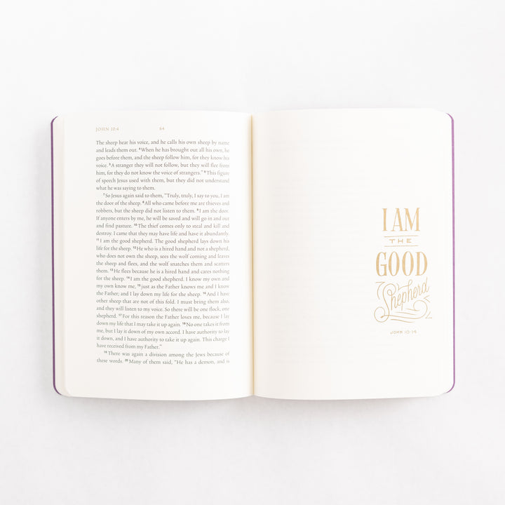 ESV Illuminated Scripture Journal: Gospels Set