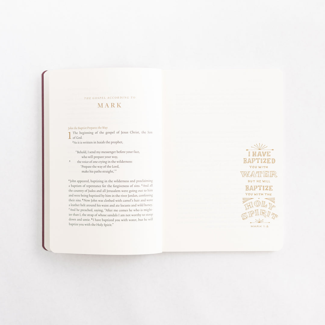 ESV Illuminated Scripture Journal: Gospels Set