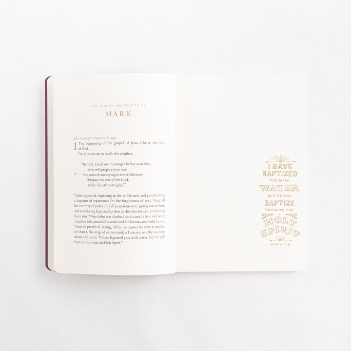 ESV Illuminated Scripture Journal: Gospels Set