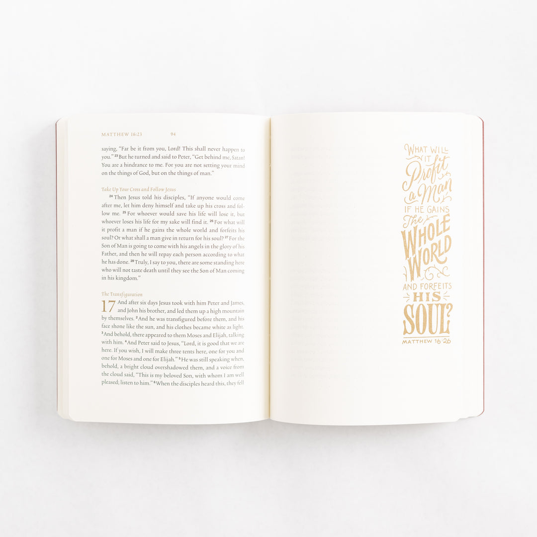 ESV Illuminated Scripture Journal: Matthew