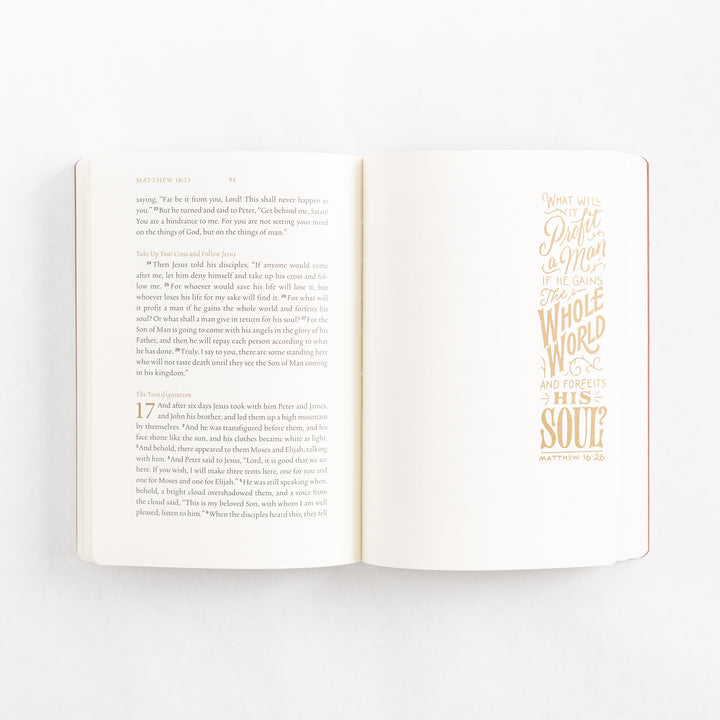 ESV Illuminated Scripture Journal: Matthew