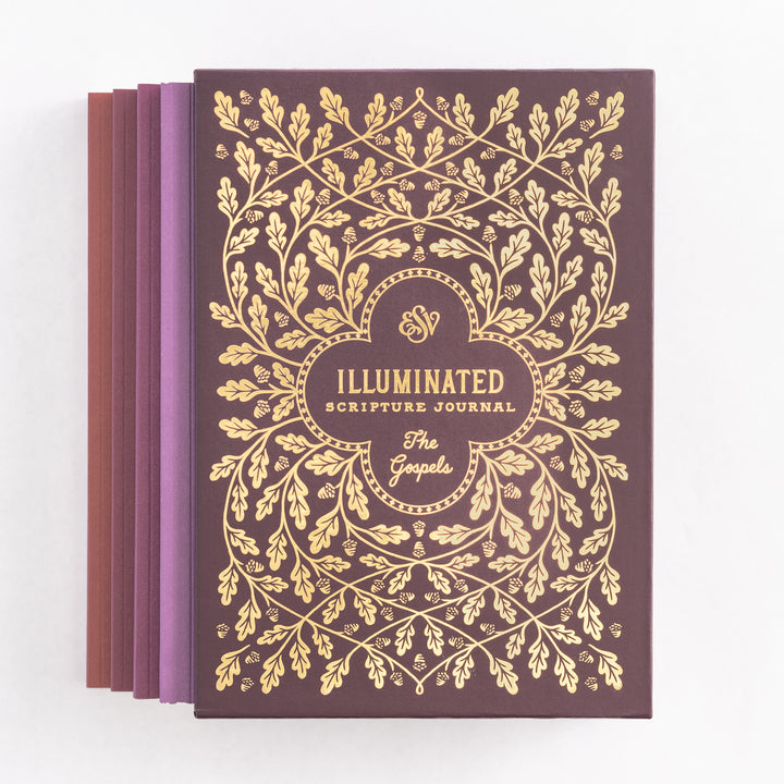 ESV Illuminated Scripture Journal: Gospels Set
