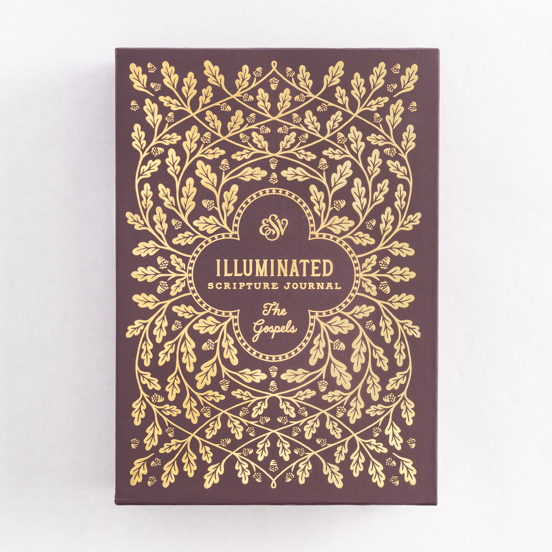 ESV Illuminated Scripture Journal: Gospels Set