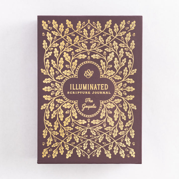 ESV Illuminated Scripture Journal: Gospels Set